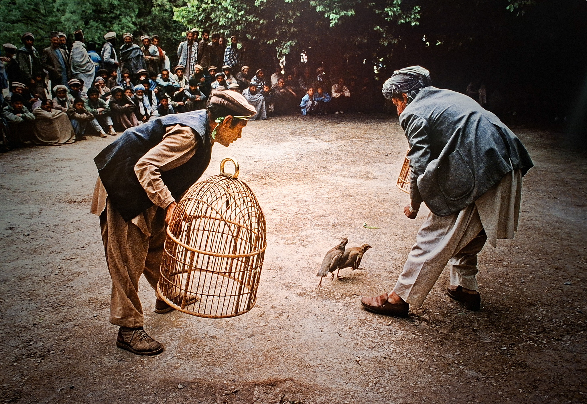 Móvil 20260613 Steve McCurry 107